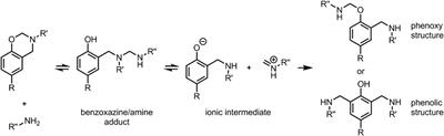 Benzoxazine/amine-based polymer networks featuring stress-relaxation and reprocessability